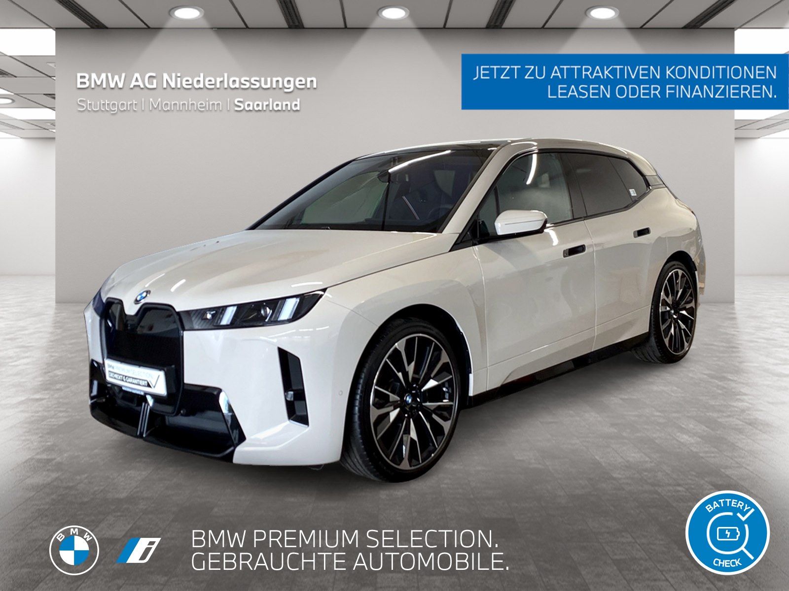 BMW iX xDrive45 M Sport AHK Driv.Assist.Prof Kamera