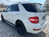 Mercedes-Benz ML 420 ML -Klasse ML 420 CDI V8 TOP - Mercedes-Benz ML 420 Gebrauchtwagen