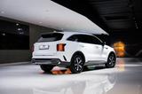 Kia Sorento Vision 4WD*LED*NAVI*LEDER*KAMERA*DAB* - Kia Sorento Gebrauchtwagen in Düsseldorf