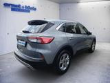 Ford Kuga 2.0 EcoBlue 4x4 Aut. TITANIUM X - Ford Kuga: Allradantrieb