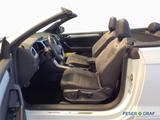 Volkswagen T-Roc Cabriolet R-Line 1.5 TSI DSG AHK Navi LED - Volkswagen T-Roc: Cabrio