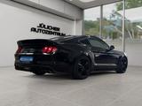 Ford Mustang GT Fastback 5.0 V8 Premium / LPG-Gas - Ford Mustang: 5.0