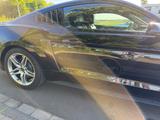 Ford Mustang 2.3 EcoBoost - Premium Paket - 19 Zoll - Ford Mustang Gebrauchtwagen in Köln