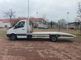 Mercedes-Benz Sprinter 313 CDI*Autotransporter*AHK 2,0t* - Mercedes-Benz Sprinter aus 2010: 313