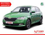 Skoda Fabia 1.0 MPI Drive Klimaaut. SmartLink Tempomat - Skoda Fabia Gebrauchtwagen in Dresden