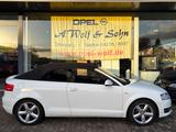 Audi A3 Cabriolet S line Sportpaket / plus XENON+NAVI - Audi A3 Gebrauchtwagen in Bremen