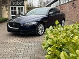 Jaguar XE Portfolio Panoramaglasdach  - Jaguar in Bielefeld