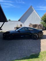 Ford Mustang GT 5.0 V8 | 450 PS | Unfallfrei - Ford Mustang: For