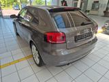 Audi A3 2.0 TDI BIXENON/AHK/TEMPOM./ALU 8 FACH/UVM. - Audi A3 aus 2010: 2.0