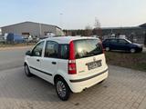 Fiat New Panda 1.2 8V Classic TÜV NEU/2. HAND/USB - scheckheftgepflegte Fiat New Panda