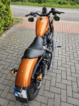 Harley-Davidson 883 Top Gepflegt, Vance&Hines, u.v.m. - HARLEY-DAVIDSON VON 751 BIS 1000 CCM