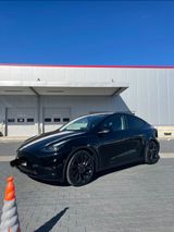 Tesla Model Y Performance Dual Motor Performance + FSD