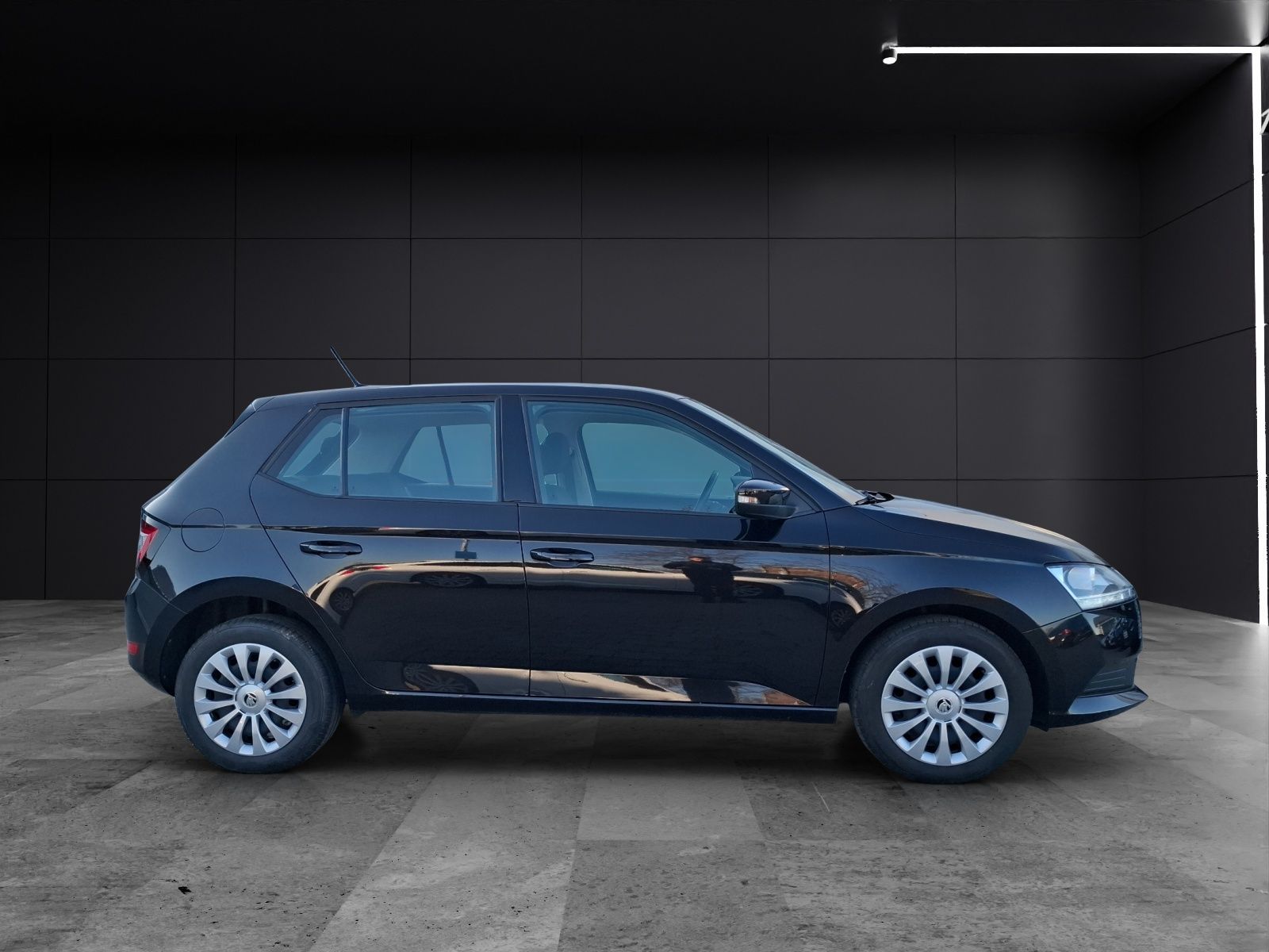 Fahrzeugabbildung SKODA Fabia TSI Cool-Plus Klima SH