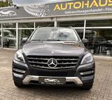 Mercedes-Benz ML 350 ML,CDI BlueTec,Allwetter,Standhzg,TÜV neu - Mercedes-Benz ML 350: Cdi