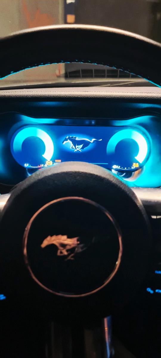 Ford Mustang 2.3 Ecopost Primera 
