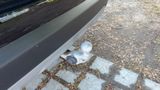 BMW iX1 30 xDrive/H&K/PANO/AHK/Driv.Assist.Plus - Thumbnail 18