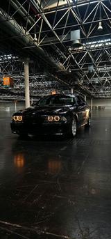 BMW E39 530i Individual Handschalter LPG G... - BMW 530 mit Benzin-Antrieb: Limousine, 530i E39