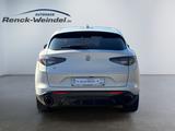 Alfa Romeo Stelvio Competizione Q4 2.0 Turbo AD El. Fondsit - Alfa Romeo Stelvio Benzin Gebrauchtwagen