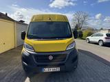 Fiat Ducato Maxi aus 1. Hand