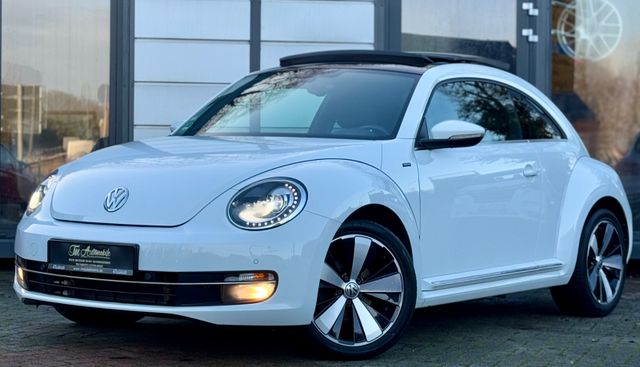 Volkswagen Beetle Lim. Allstar BMT XENON PANO 18 ZOLL