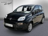 Fiat Panda KLIMAANLAGE,BLUETOOTH,USB,PDC,DAB,ISOFIX,E - Fiat Panda: I