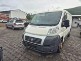 Fiat Ducato Kasten 33 150 - Fiat Ducato: 15