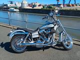 Harley-Davidson Dyna FXDSE, FXDC, FXD