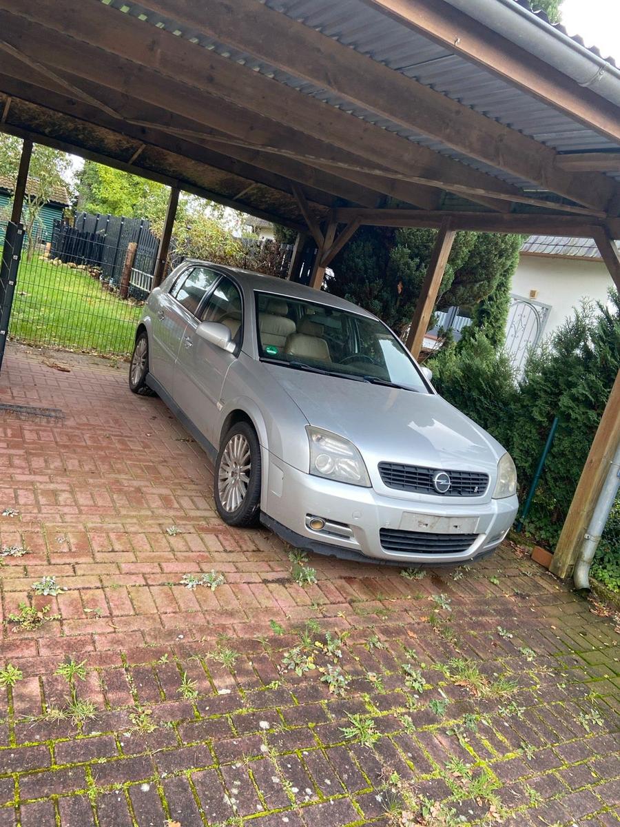 Opel Signum