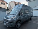 La Strada Avanti F - Angebote