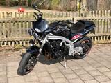 Triumph TOP gepflegte Speed Triple 955i T509 - TRIUMPH TRIPLE SPEED T509