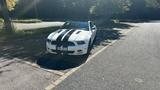 Ford Mustang 5.0 GT CS - Ford Mustang aus 2012: 5.0