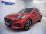 Ford Kuga 2.5 FHEV 4x4 ST-LINE X PANO AHK LED SHZ RFK - Ford Tageszulassungen