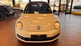 Volkswagen New Beetle Lim. Sport, Panorama, Navim PDC - Volkswagen New Beetle: Coupé