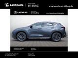 Lexus NX 350 Business Line - 15 Jahre Lexus Relax Gara - Lexus: Nx