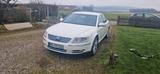 Volkswagen Phaeton 3.0 V6 TDI 4MOTION Tiptronic 5-Sitzer - - Volkswagen Phaeton: Weiß