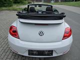 Volkswagen Beetle 2.0 TDI 81kW BMT ALLSTAR Cabriolet AL... - Volkswagen Beetle mit Diesel-Antrieb: Cabrio