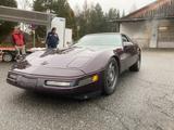 Citroën Corvette C4 LT1 - Citroën aus 1993