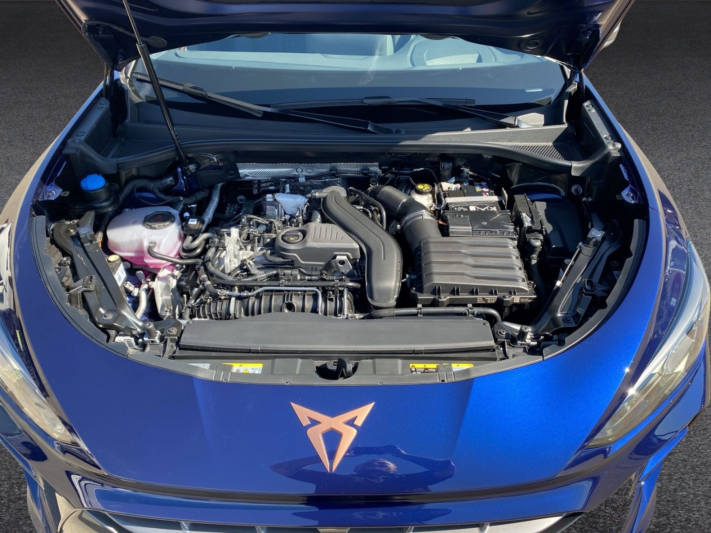 Fahrzeugabbildung CUPRA Terramar 1.5 eTSI*HUD*NAVI*SHZ*LED*AHK*