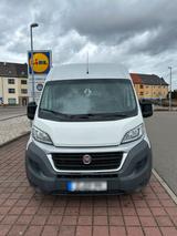 Fiat Ducato, Transporter, Kastenwagen - Fiat: Transporter