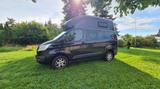 Ford Nugget Westfalia Hochdach - Bester Camper - Ford Fo