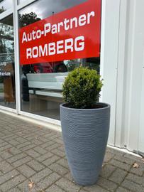 AUTO-PARTNER-ROMBERG Logo