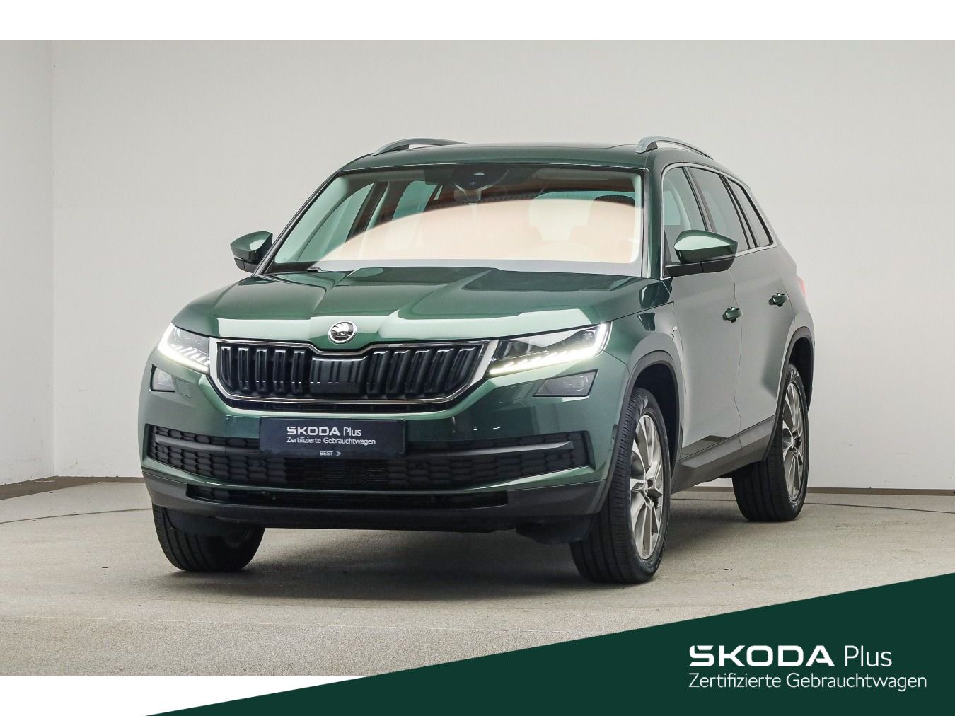 Skoda Kodiaq 2.0 TSI DSG Clever 4x4 PANO*AHK*ACC*DCC