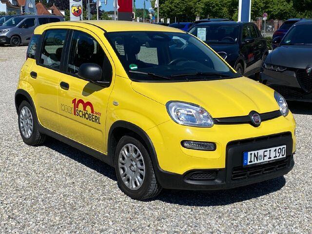 Fiat Panda Base