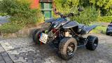 Access Motor Triton 450 | Black Lizzard - QUAD TRI