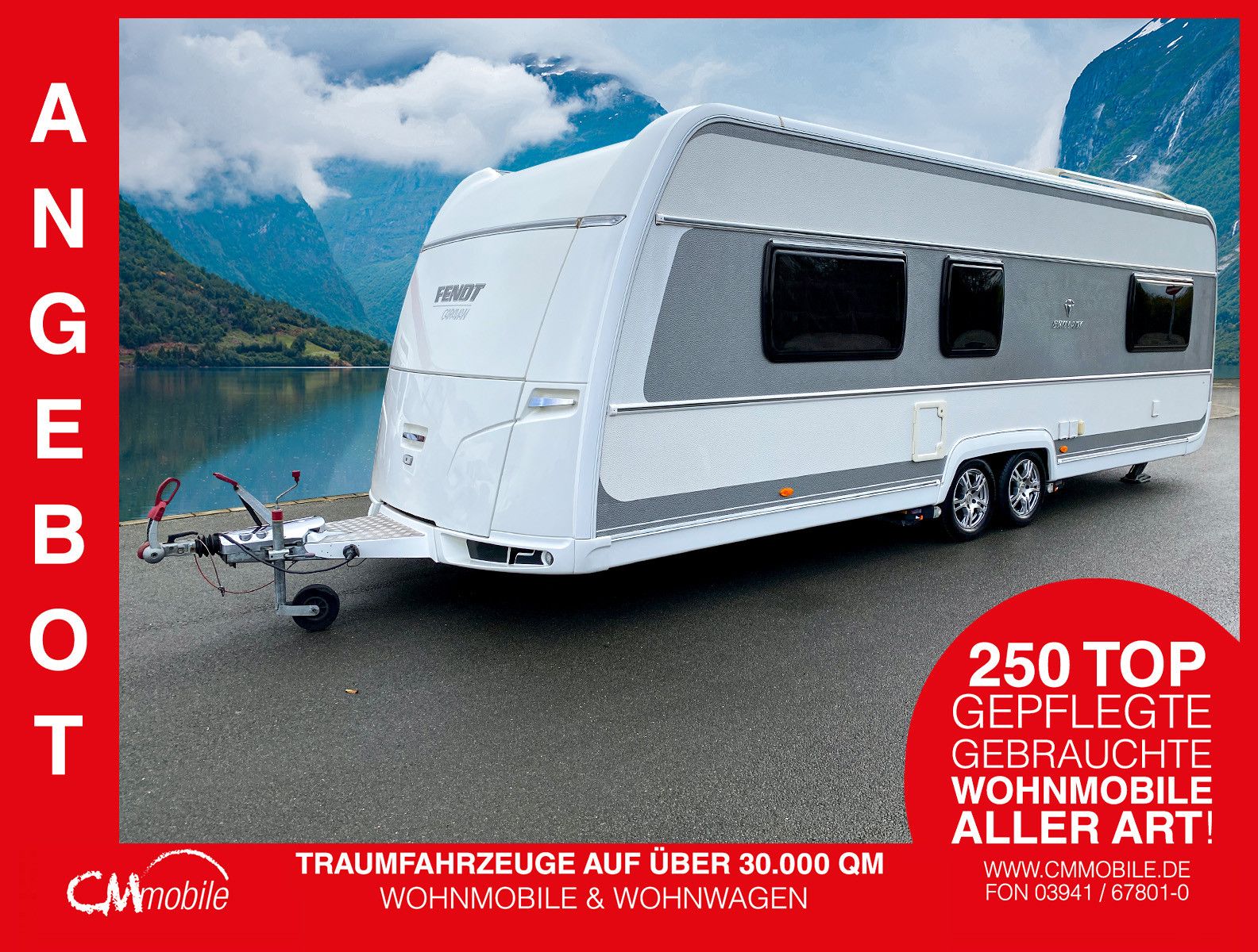 Fendt
 Brillant 650 TF - MOVER -
