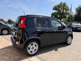 Fiat Panda 1.0 Hybrid *5-Sitzer, Klima, Einparkhilfe - Fiat Panda Tageszulassungen