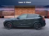 Alfa Romeo Stelvio Quadrifoglio Benzin 519 PS AT *PANO* - Alfa Romeo Gebrauchtwagen