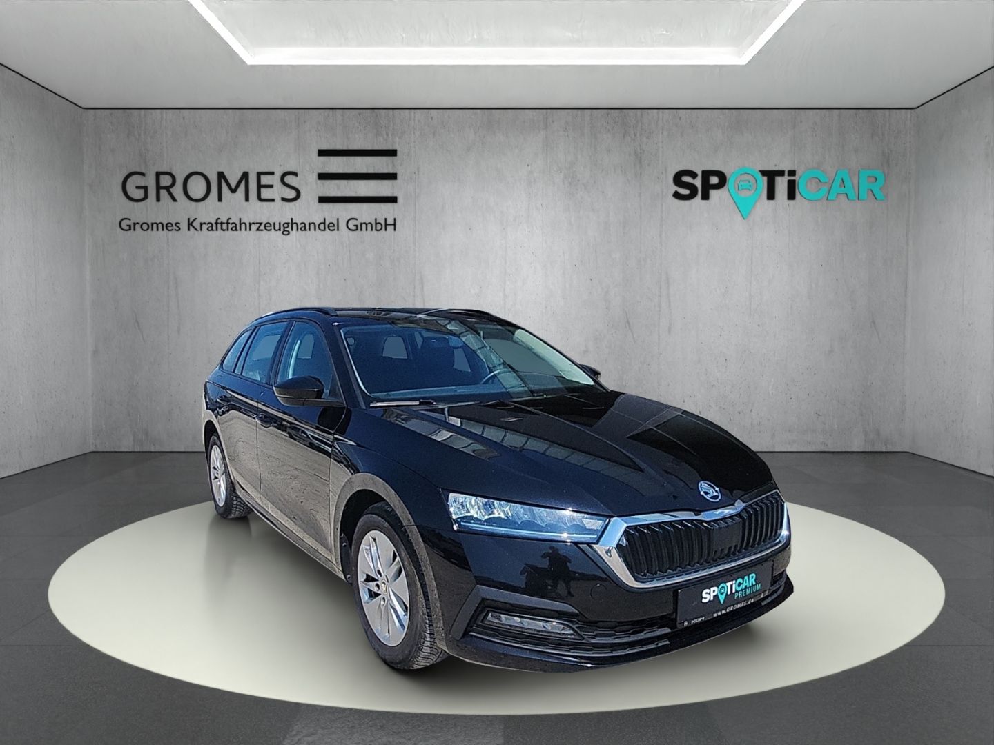 Skoda Octavia Combi Selection DSG LED Sperrdiff. Apple