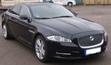 Jaguar XJL 3.0 V6 Diesel Langversion NEUER TÜV - Jaguar XJ: Langversion