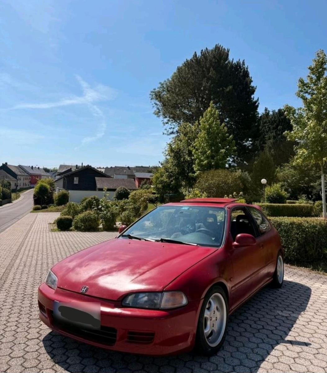 Andere Andere